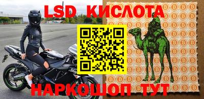 амф Новозыбков