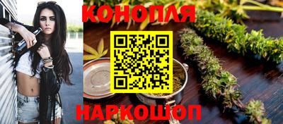 амф Новозыбков
