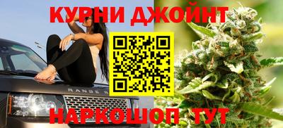 амф Новозыбков
