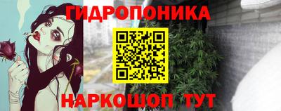 мяу мяу мука Новокубанск